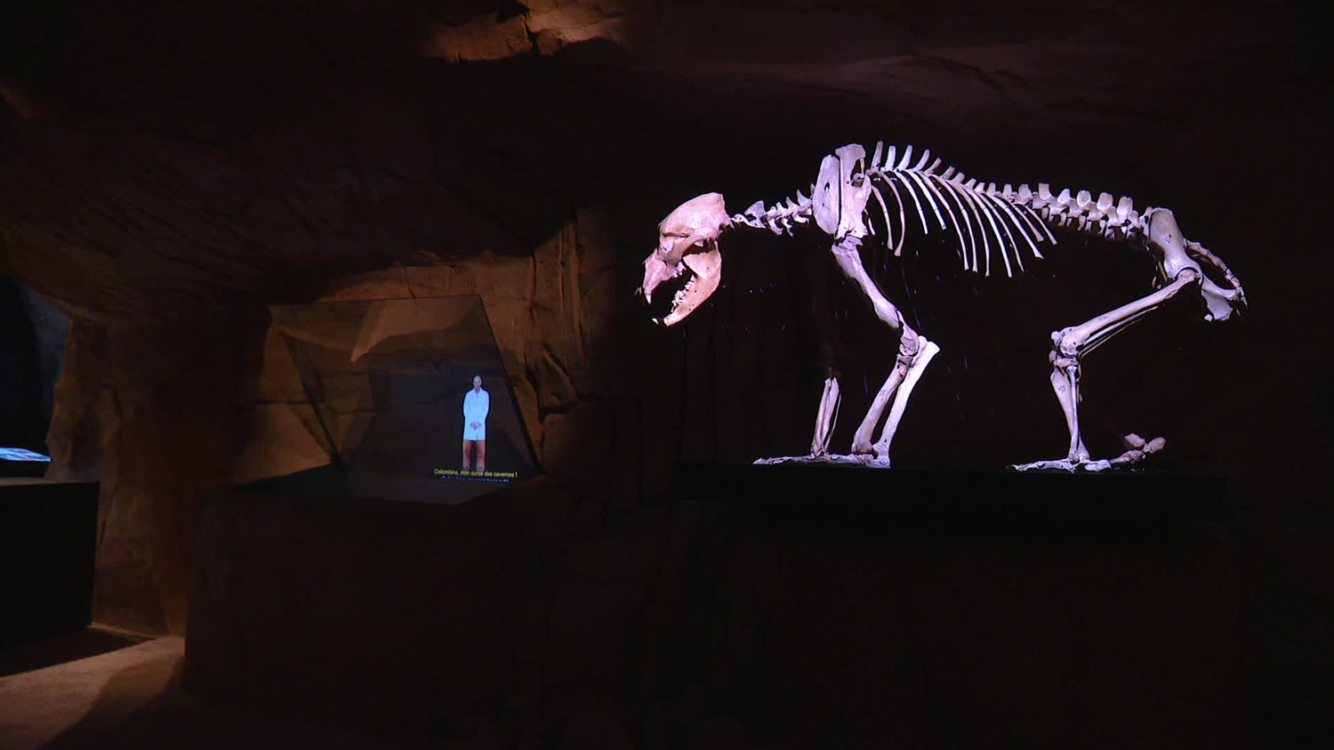 In Savoy, the Museum of Cave Bears reopens its doors with an impressive new room